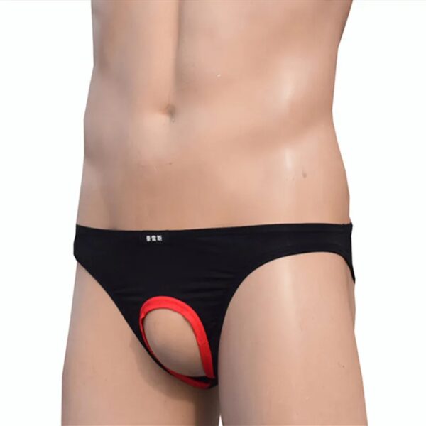 Sexy Mens Underwear Briefs Brand Penis Hole Open Pouch Silk Panties For Men Gay Underpants Male Crotchless Slips Funny Howe Ray